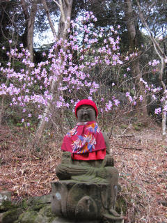 0320・02極楽寺つつじと地蔵.jpg