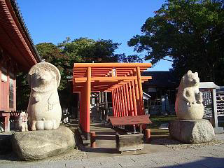 1113・84屋島寺・蓑山大明神狸.jpg