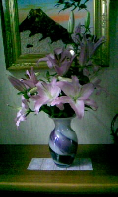 うちのカサブランカ２