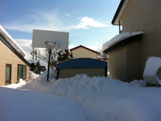 物置もついでに