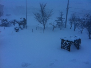 外に出たくない