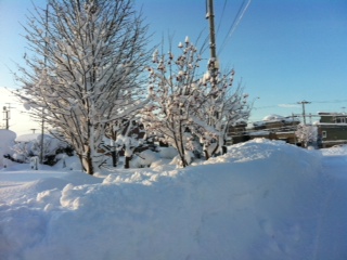綺麗なのと寒いのは別