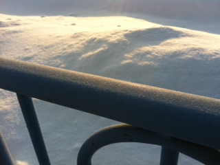 天然フリーザー?