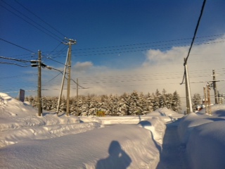 見る分には綺麗だけど
