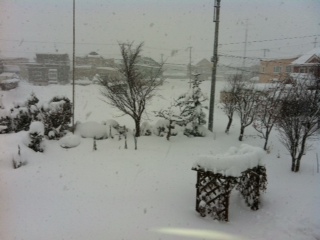 やっぱり吹雪