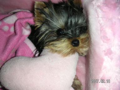 疲れました・・