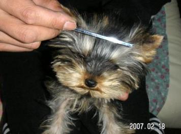 とかしてます１