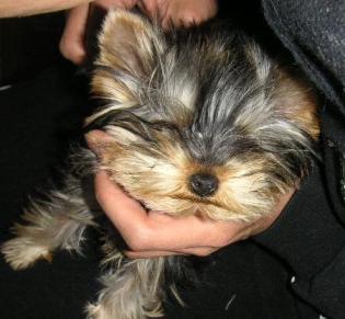 とかしてます３