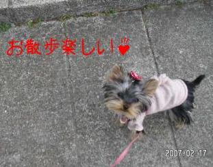 お散歩楽しい♪