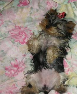 こんな格好です