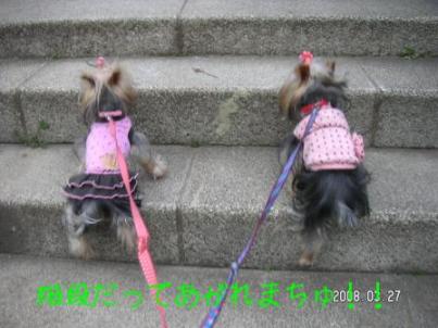 ピョン、ピョン