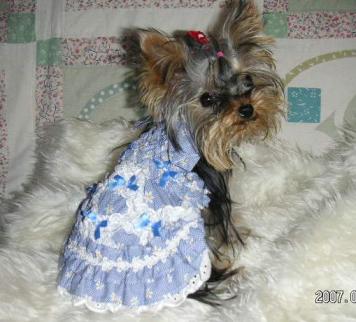 ブルーのヒラヒラ