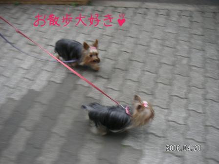 お散歩楽しいね