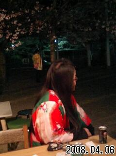 夜桜お照