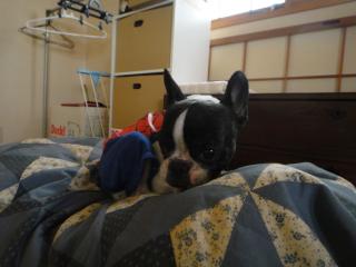 DSC04168.JPG