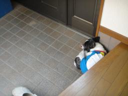 DSC05000.JPG