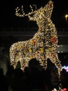 DSC00091.JPG