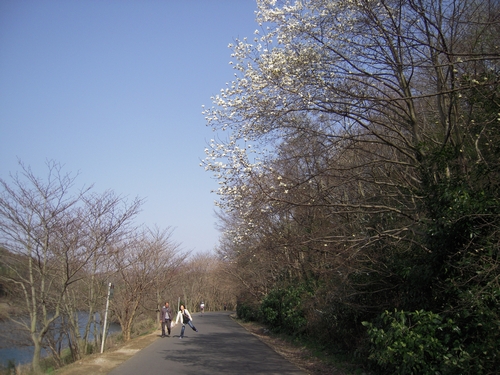 20100320_08.jpg