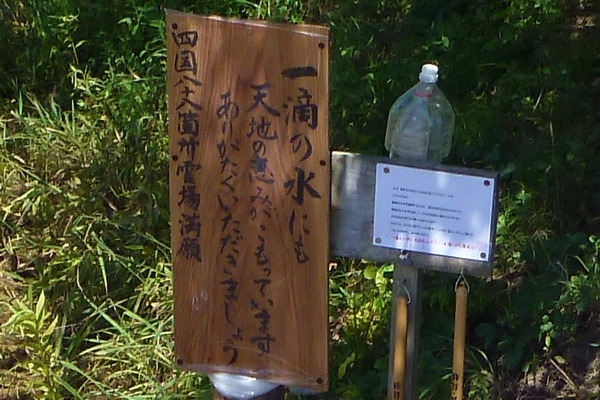 20100807_02.jpg