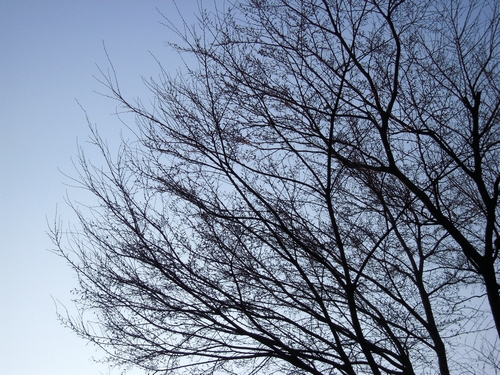 20100228.jpg