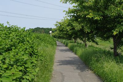 20090527_新川CR.jpg