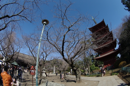 20100117_法華経寺01.jpg