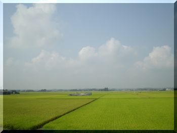 田園風景