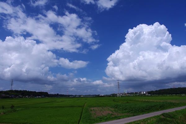 20110804-03.jpg