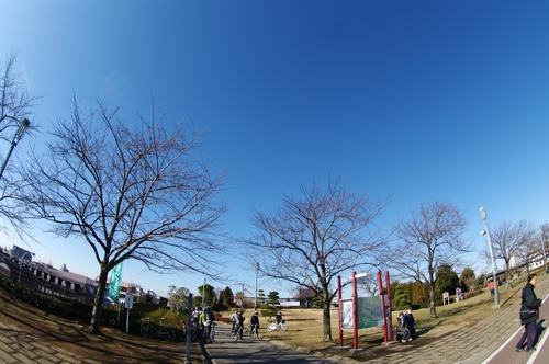 20100117_江戸川_寅さん記念館01.jpg