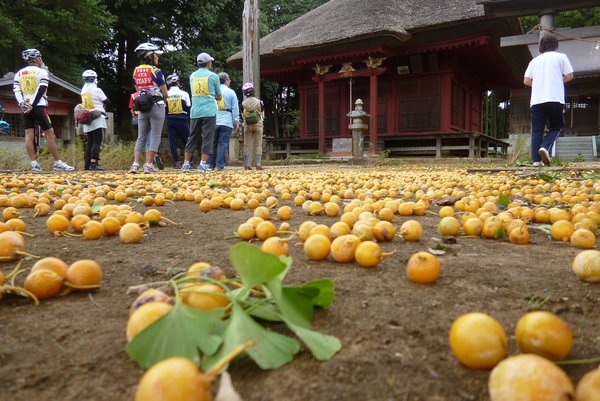 20110923_栄町ふるさと発見05.jpg