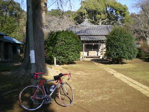 龍角寺01.jpg