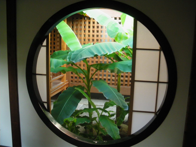 IMGP0362_サイズ変更.JPG
