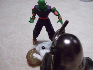 ムースとピッコロ２.jpg