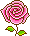 rose1