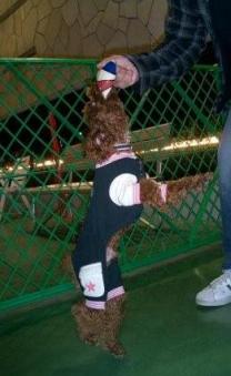2008 12 10 西宮ガーデンズ 032.jpg