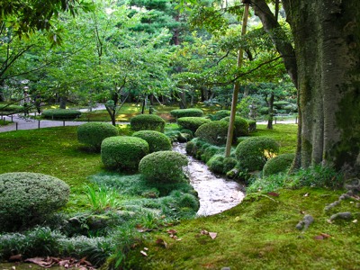 DSCN2695.JPG