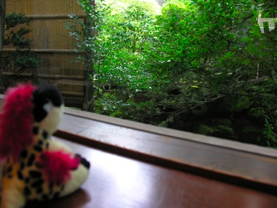 DSCN2733.JPG