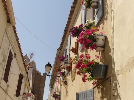 P1000745.jpg