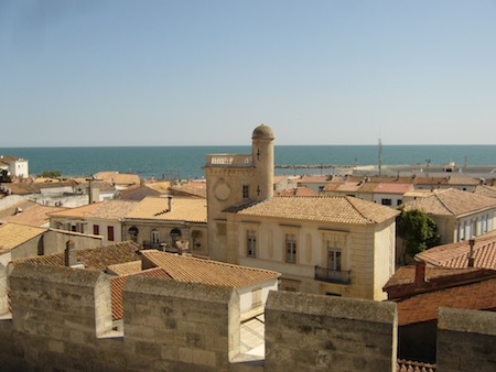 P1000749.jpg