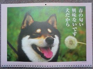 2008-12-18 21:08:05