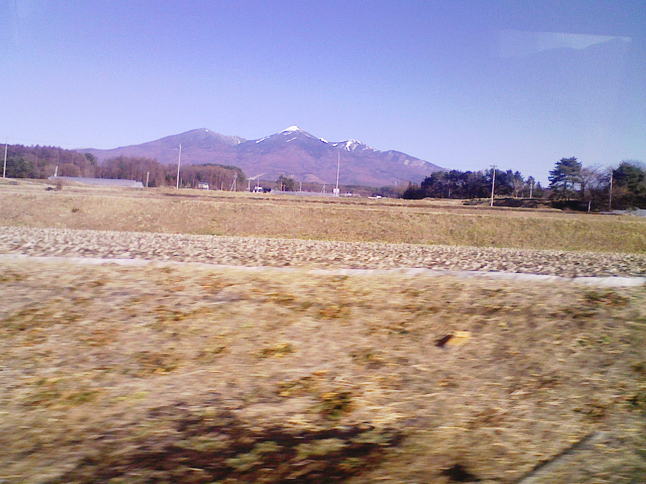 NEC_0028.JPG
