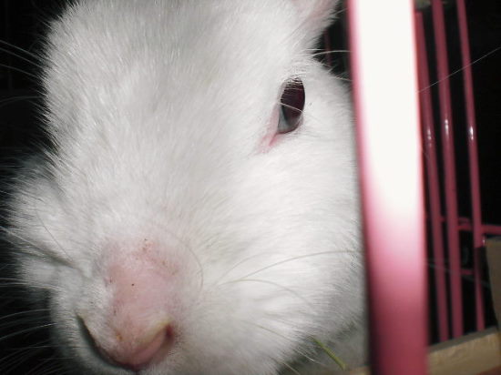 メロちゃんアップ