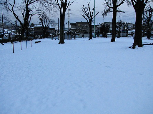 雪　２月１５日