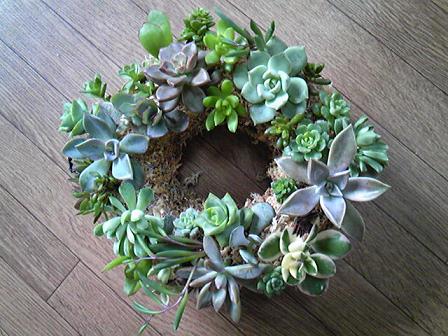 多肉リース.jpg