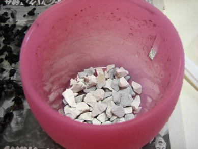 テーブルヤシB_090429-3