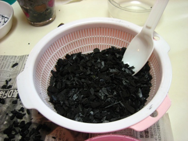 テーブルヤシB_090429-4