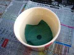 ワイルドストロベリー_090614-3