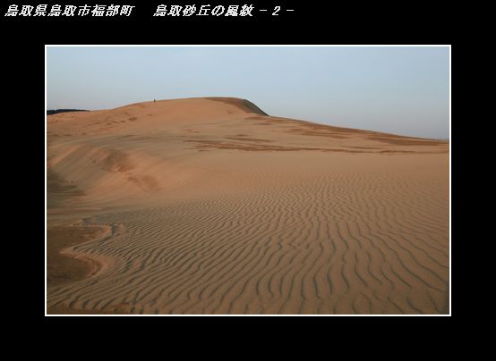 IMG_9829鳥取砂丘の風紋-2.jpg