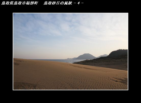 IMG_9872Ｓｐ鳥取砂丘の風紋-4.jpg