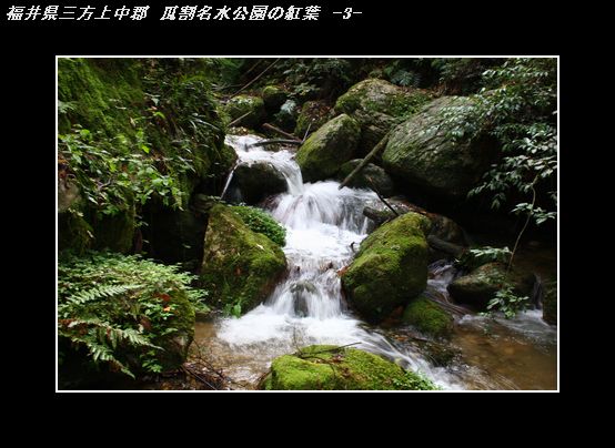 IMG_8175瓜割名水公園の紅葉-3.jpg